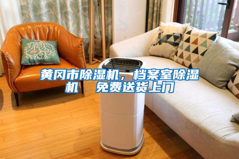 黃岡市除濕機，檔案室除濕機  免費送貨上門(mén)