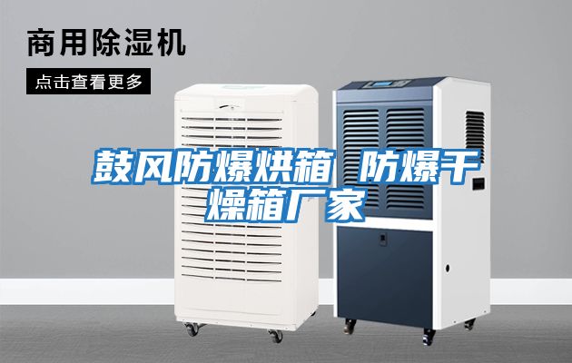 鼓風(fēng)防爆烘箱 防爆干燥箱廠(chǎng)家