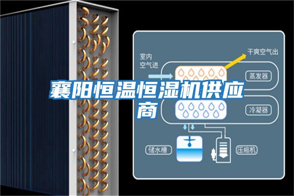 襄陽(yáng)恒溫恒濕機供應商