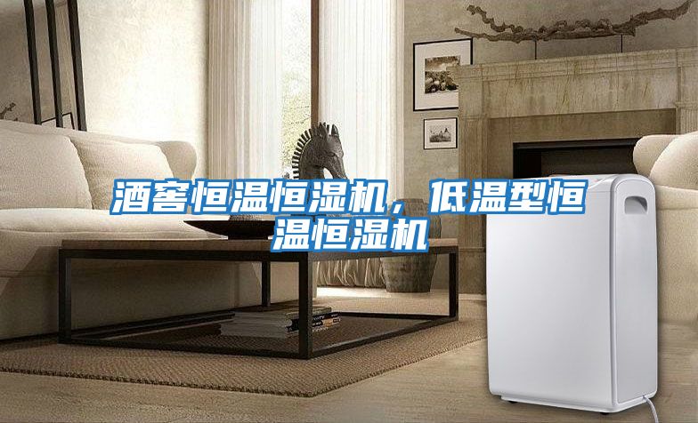 酒窖恒溫恒濕機，低溫型恒溫恒濕機