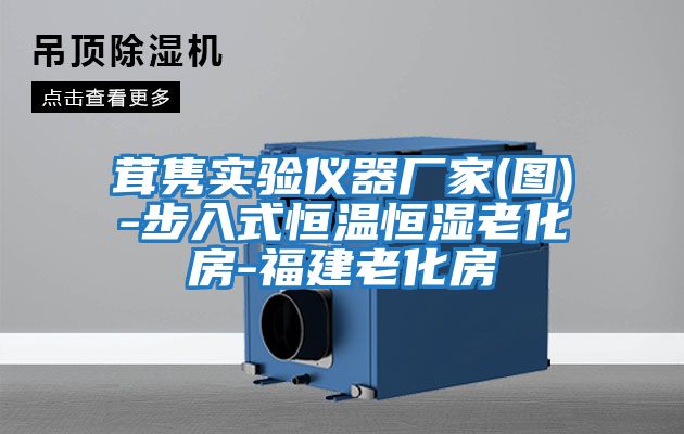 茸雋實(shí)驗儀器廠(chǎng)家(圖)-步入式恒溫恒濕老化房-福建老化房