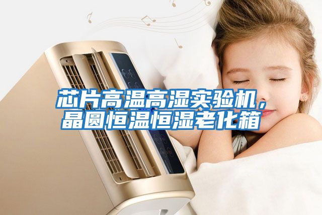 芯片高溫高濕實(shí)驗機，晶圓恒溫恒濕老化箱