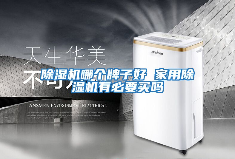 除濕機哪個(gè)牌子好 家用除濕機有必要買(mǎi)嗎