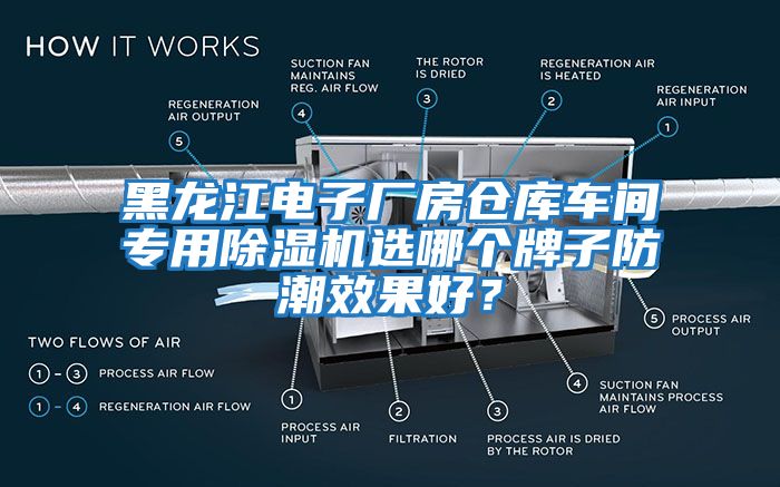 黑龍江電子廠(chǎng)房倉庫車(chē)間專(zhuān)用除濕機選哪個(gè)牌子防潮效果好？