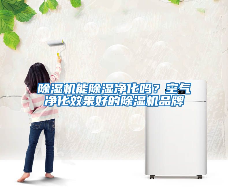 除濕機能除濕凈化嗎？空氣凈化效果好的除濕機品牌