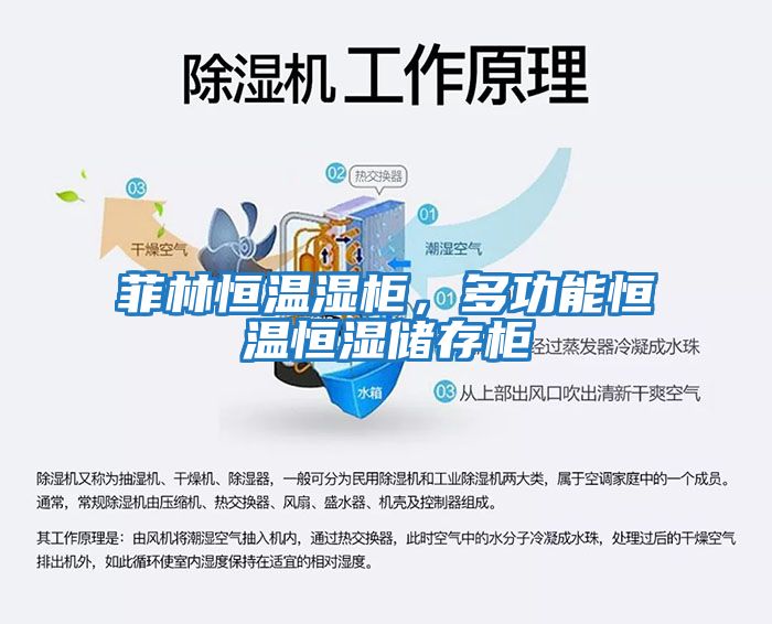 菲林恒溫濕柜，多功能恒溫恒濕儲存柜