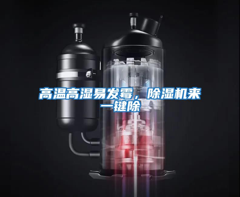 高溫高濕易發(fā)霉，除濕機來(lái)一鍵除