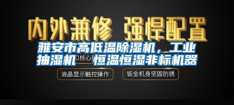 雅安市高低溫除濕機，工業(yè)抽濕機  恒溫恒濕非標機器