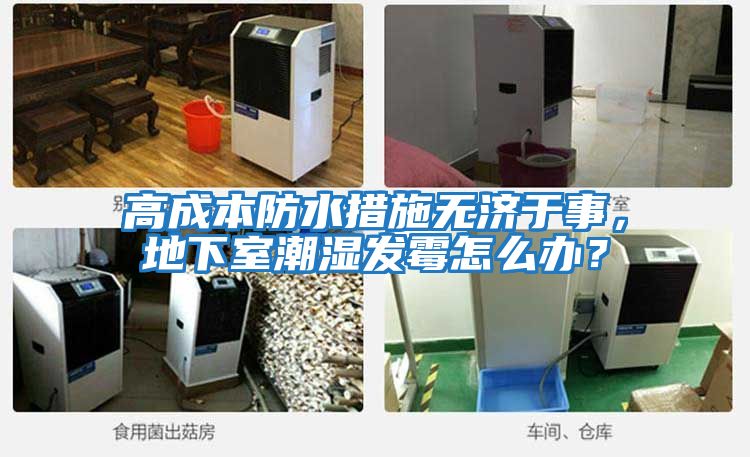高成本防水措施無(wú)濟于事，地下室潮濕發(fā)霉怎么辦？