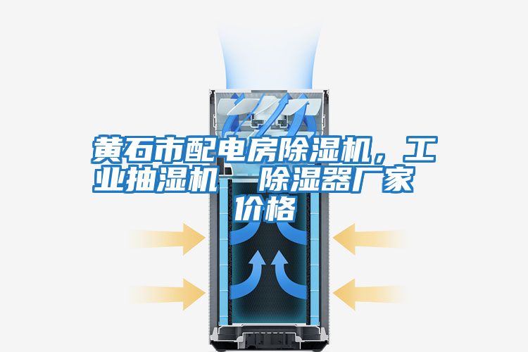 黃石市配電房除濕機，工業(yè)抽濕機  除濕器廠(chǎng)家 價(jià)格