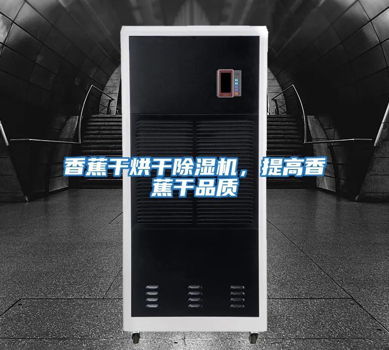 香蕉干烘干除濕機，提高香蕉干品質(zhì)