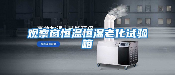 觀(guān)察窗恒溫恒濕老化試驗箱