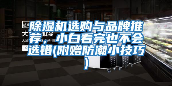 除濕機選購與品牌推薦，小白看完也不會(huì )選錯(附贈防潮小技巧)