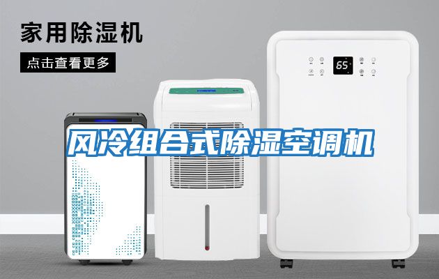 風(fēng)冷組合式除濕空調機