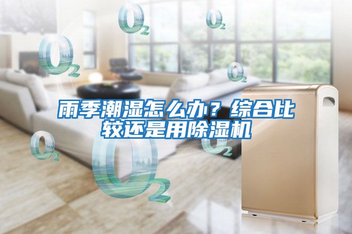 雨季潮濕怎么辦？綜合比較還是用除濕機