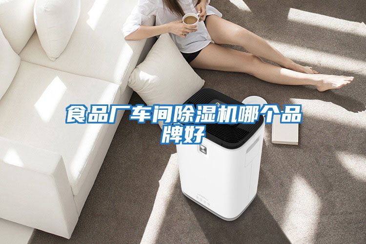 食品廠(chǎng)車(chē)間除濕機哪個(gè)品牌好