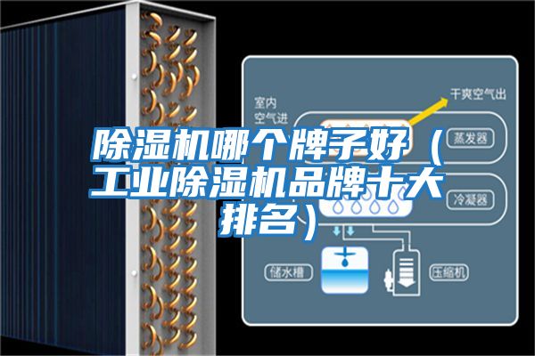 除濕機哪個(gè)牌子好（工業(yè)除濕機品牌十大排名）