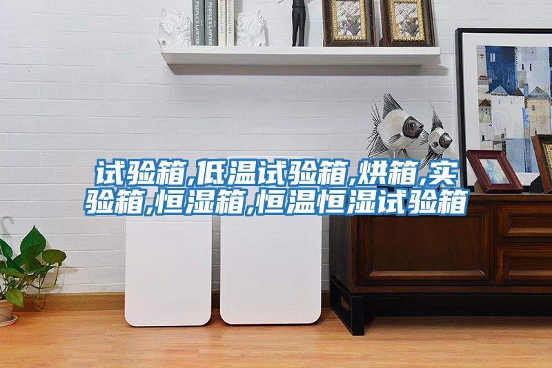 試驗箱,低溫試驗箱,烘箱,實(shí)驗箱,恒濕箱,恒溫恒濕試驗箱
