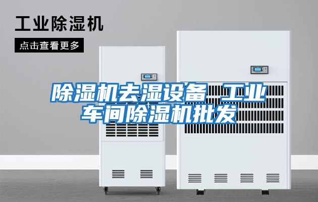 除濕機去濕設備 工業(yè)車(chē)間除濕機批發(fā)