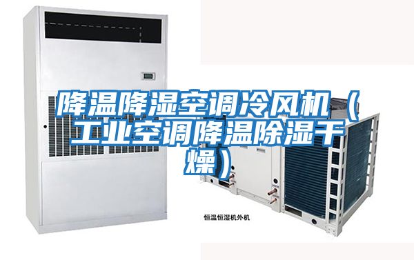 降溫降濕空調冷風(fēng)機（工業(yè)空調降溫除濕干燥）