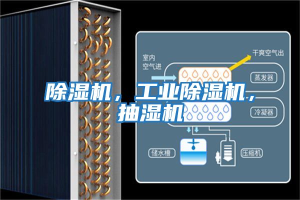 除濕機，工業(yè)除濕機，抽濕機