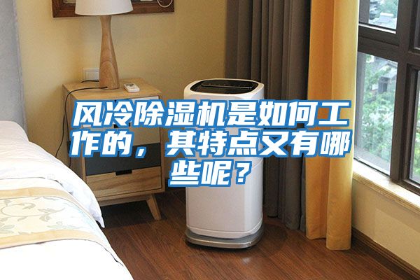 風(fēng)冷除濕機是如何工作的，其特點(diǎn)又有哪些呢？