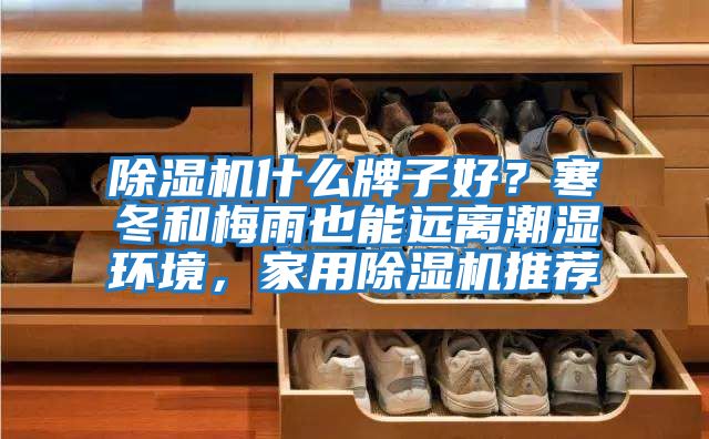除濕機什么牌子好？寒冬和梅雨也能遠離潮濕環(huán)境，家用除濕機推薦