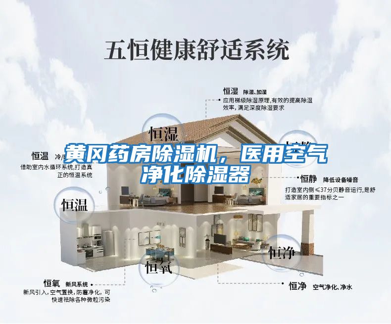 黃岡藥房除濕機，醫用空氣凈化除濕器