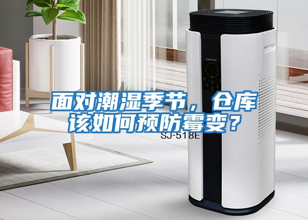 面對潮濕季節，倉庫該如何預防霉變？