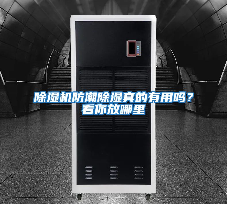 除濕機防潮除濕真的有用嗎？看你放哪里
