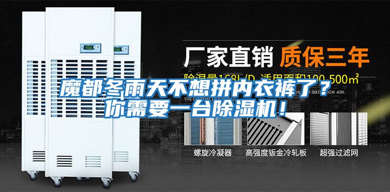 魔都冬雨天不想拼內衣褲了？你需要一臺除濕機！