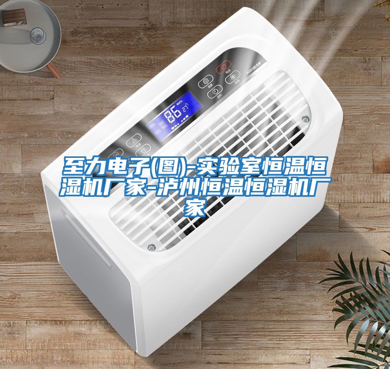 至力電子(圖)-實(shí)驗室恒溫恒濕機廠(chǎng)家-瀘州恒溫恒濕機廠(chǎng)家