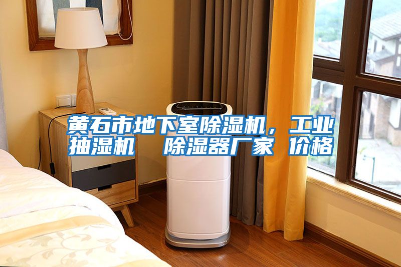 黃石市地下室除濕機，工業(yè)抽濕機  除濕器廠(chǎng)家 價(jià)格