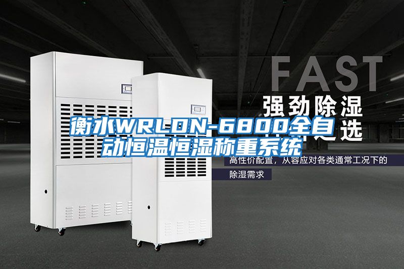衡水WRLDN-6800全自動(dòng)恒溫恒濕稱(chēng)重系統