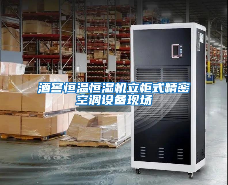 酒窖恒溫恒濕機立柜式精密空調設備現場(chǎng)