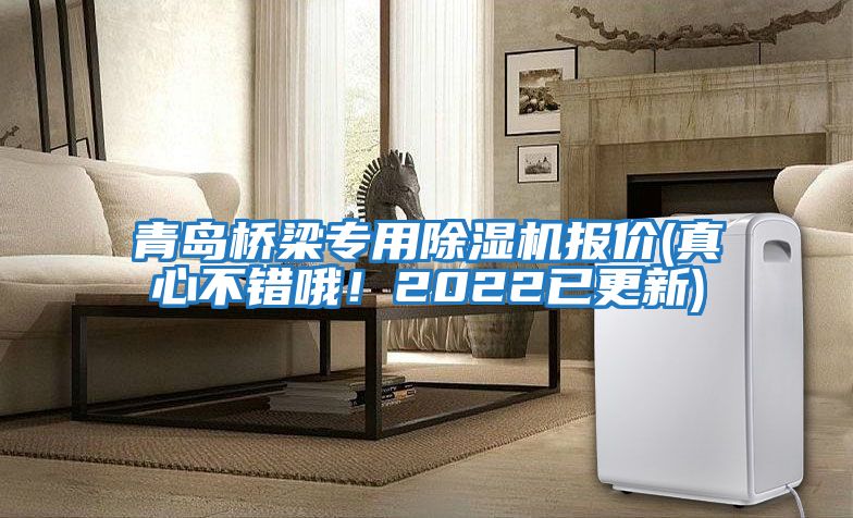 青島橋梁專(zhuān)用除濕機報價(jià)(真心不錯哦！2022已更新)