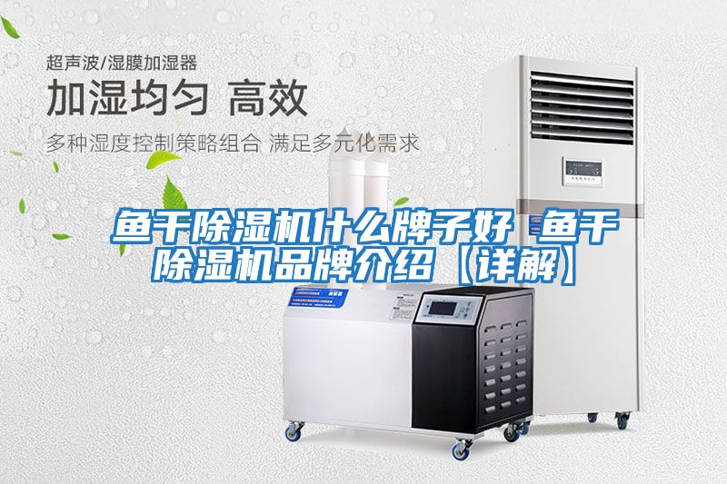 魚(yú)干除濕機什么牌子好 魚(yú)干除濕機品牌介紹【詳解】