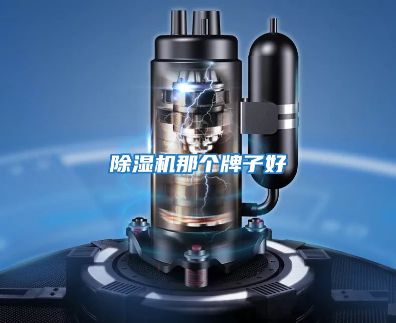 除濕機那個(gè)牌子好