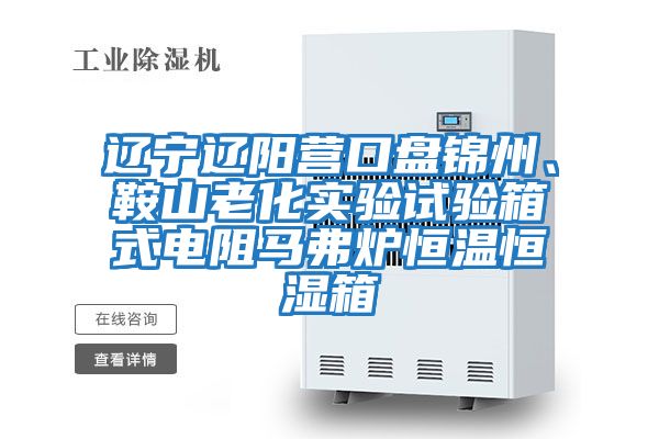 遼寧遼陽(yáng)營(yíng)口盤(pán)錦州、鞍山老化實(shí)驗試驗箱式電阻馬弗爐恒溫恒濕箱