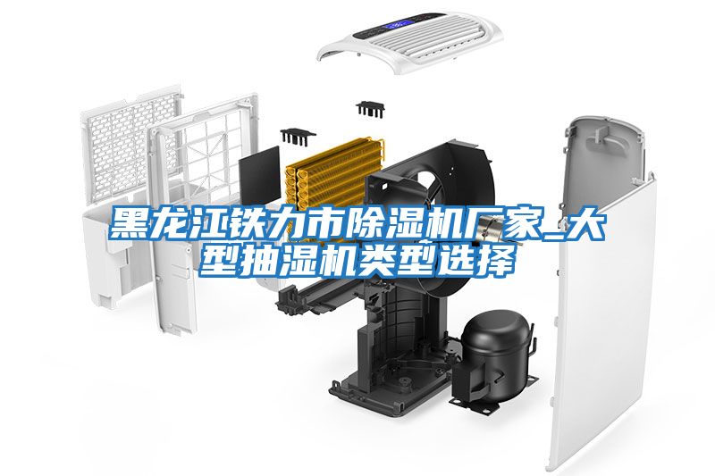 黑龍江鐵力市除濕機廠(chǎng)家_大型抽濕機類(lèi)型選擇