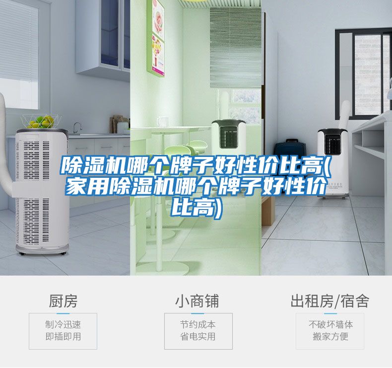 除濕機哪個(gè)牌子好性?xún)r(jià)比高(家用除濕機哪個(gè)牌子好性?xún)r(jià)比高)