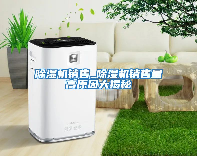 除濕機銷(xiāo)售_除濕機銷(xiāo)售量高原因大揭秘