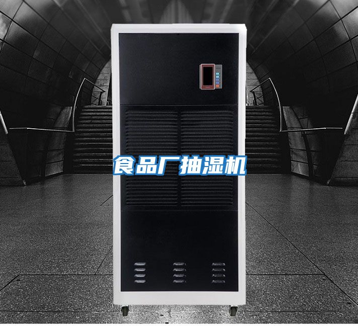 食品廠(chǎng)抽濕機