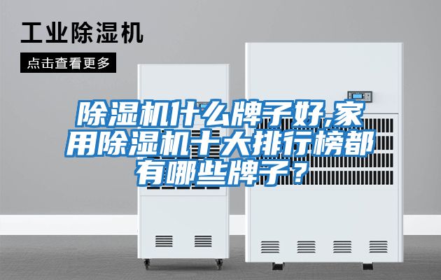 除濕機什么牌子好,家用除濕機十大排行榜都有哪些牌子？
