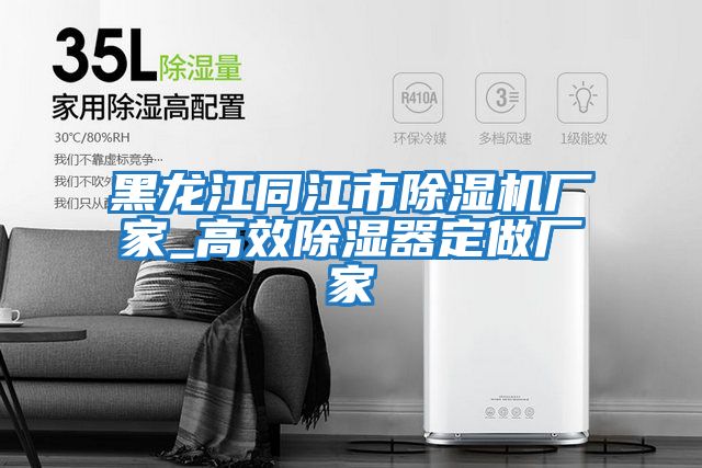 黑龍江同江市除濕機廠(chǎng)家_高效除濕器定做廠(chǎng)家