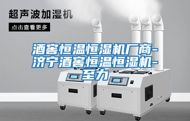酒窖恒溫恒濕機廠(chǎng)商-濟寧酒窖恒溫恒濕機-至力