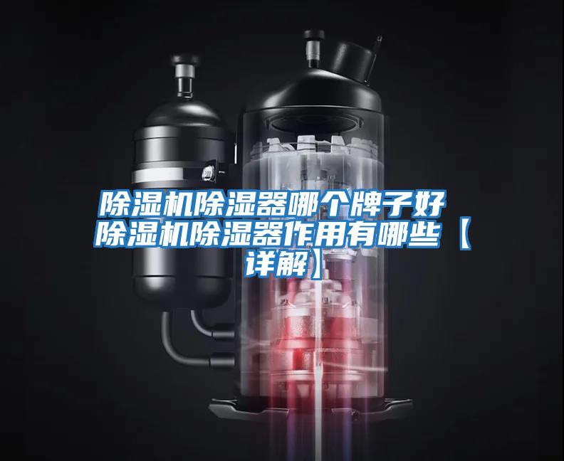 除濕機除濕器哪個(gè)牌子好 除濕機除濕器作用有哪些【詳解】
