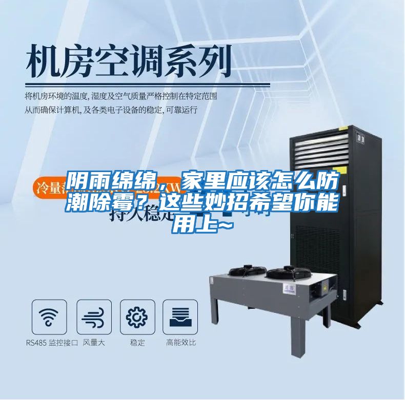 陰雨綿綿，家里應該怎么防潮除霉？這些妙招希望你能用上~