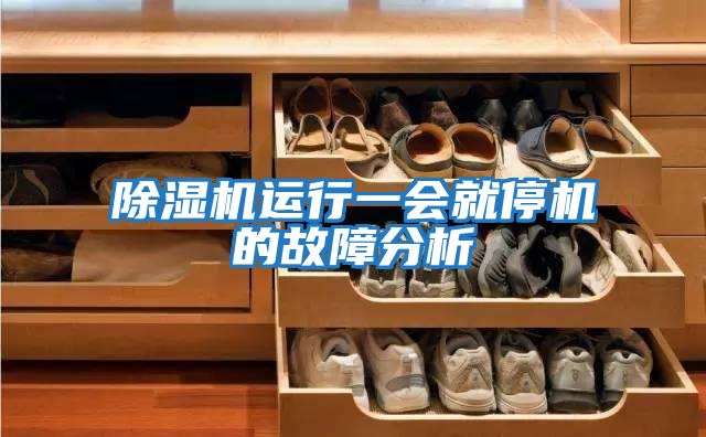 除濕機運行一會(huì )就停機的故障分析
