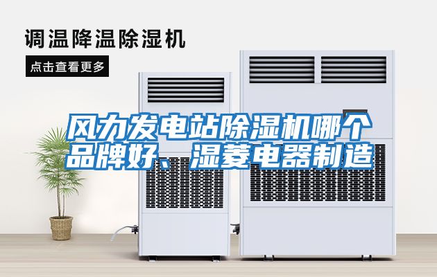 風(fēng)力發(fā)電站除濕機哪個(gè)品牌好、濕菱電器制造